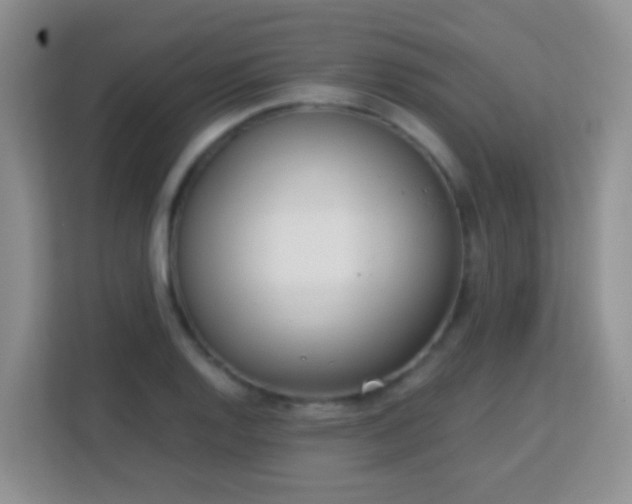 X0000113171128200909111029