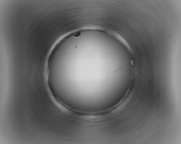 X0000113171132200909111029