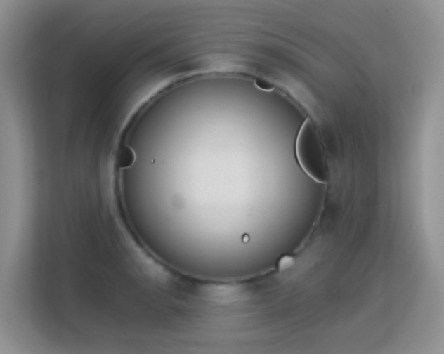 X0000113171134200909111029