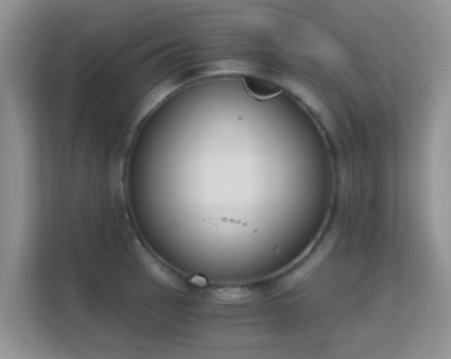 X0000113171137200909111029