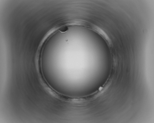 X0000113171138200909111029