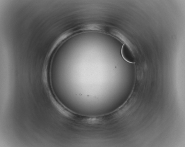 X0000113171139200909111029