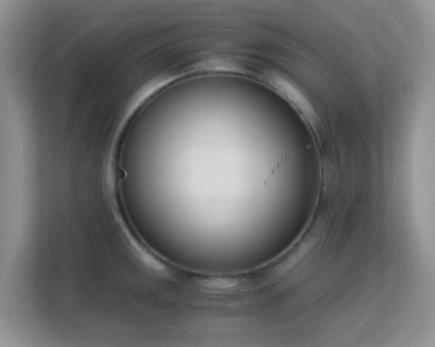 X0000113171141200909111029