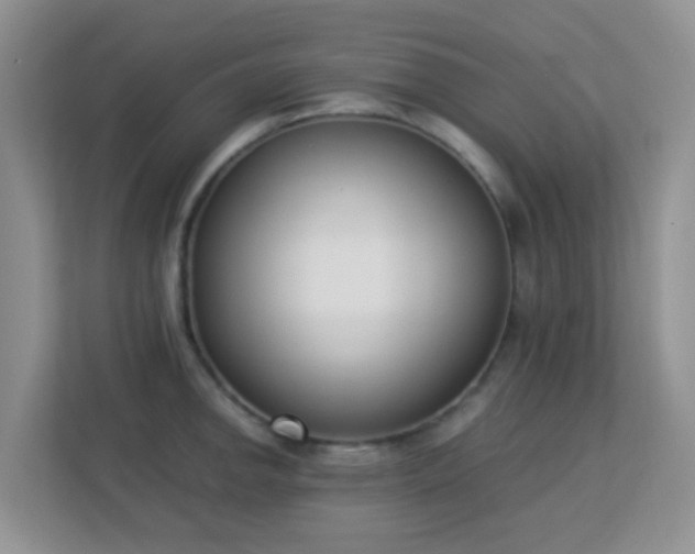 X0000113171142200909111029