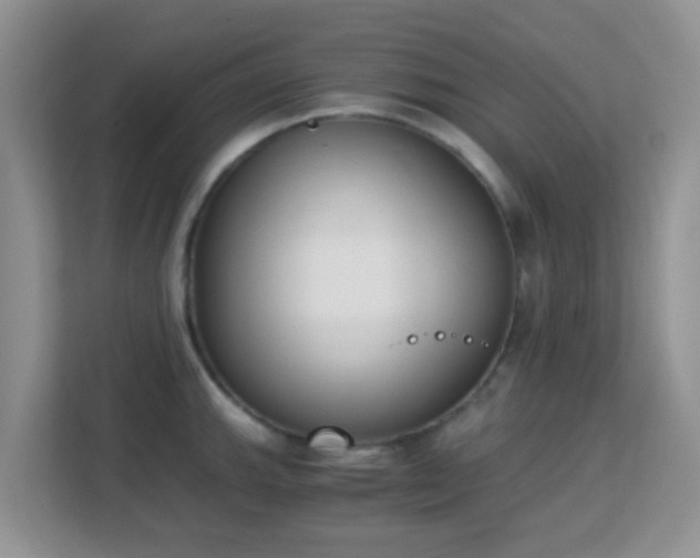 X0000113171143200909111029