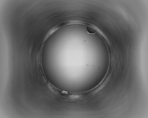 X0000113171145200909111029