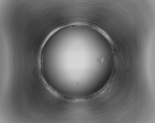 X0000113171148200909111029