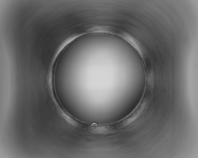 X0000113171149200909111029