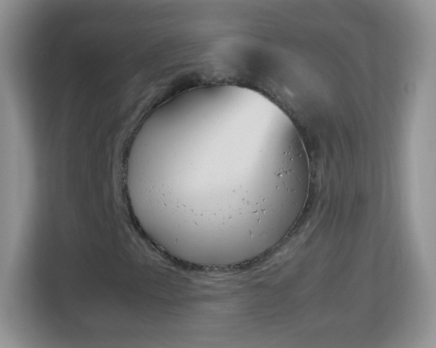 X0000113171153200909111029