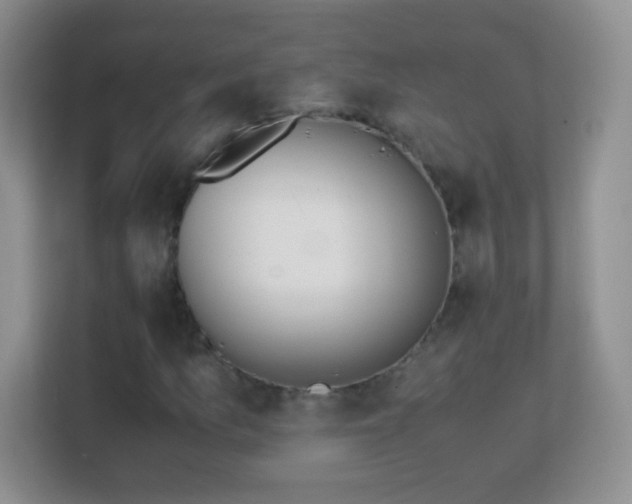 X0000113171157200909111029