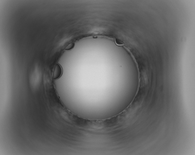 X0000113171158200909111029