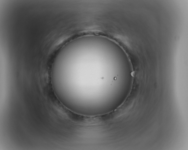 X0000113171159200909111029