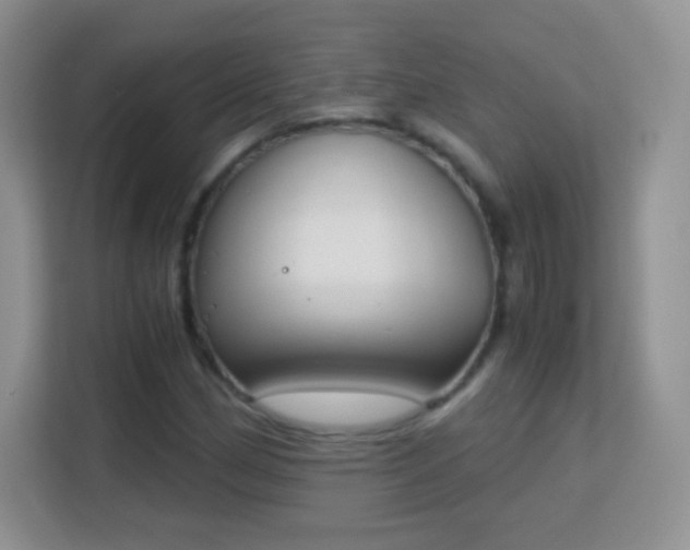 X0000113171162200909111029