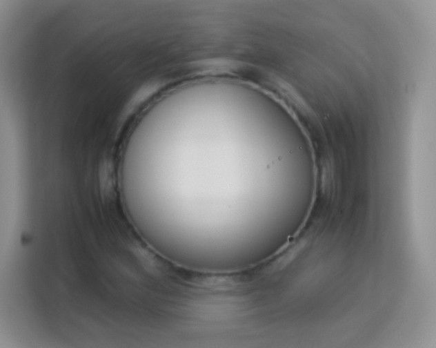 X0000113171164200909111029