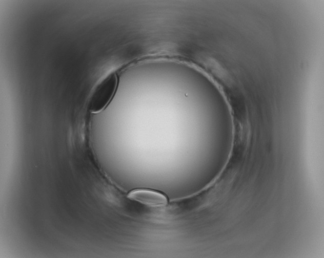 X0000113171165200909111029