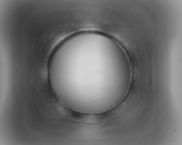 X0000113171167200909111028
