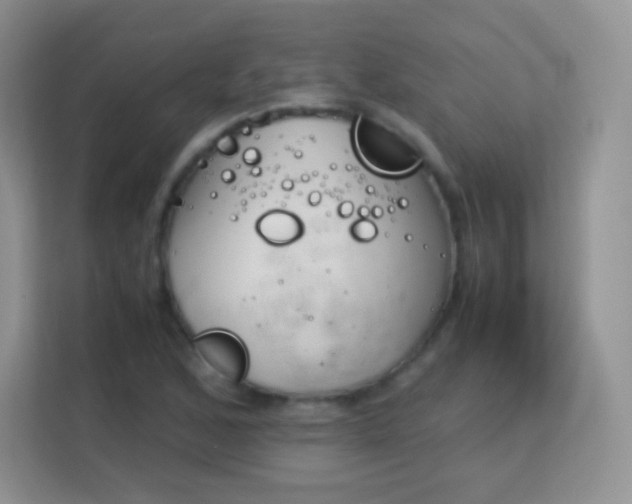 X0000113171168200909111028