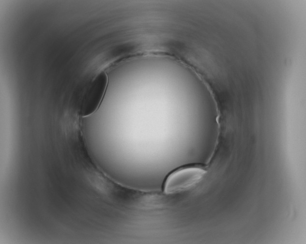 X0000113171169200909111028