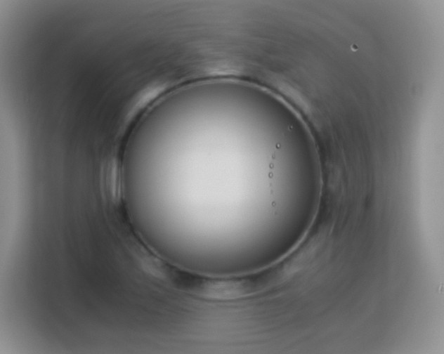 X0000113171171200909111028