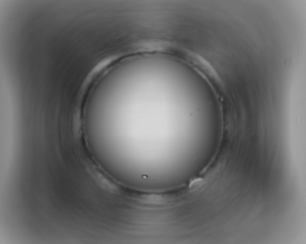 X0000113171172200909111028
