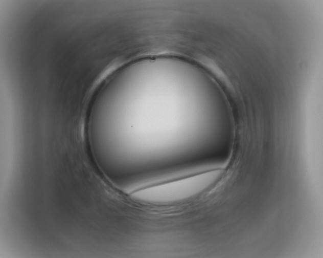 X0000113171173200909111028