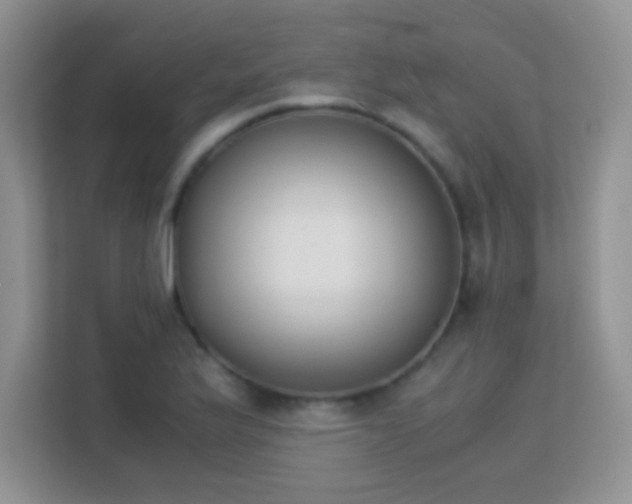 X0000113171175200909111028