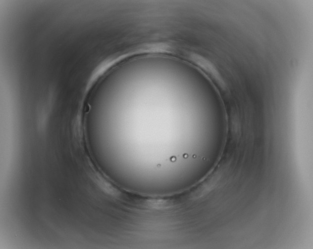 X0000113171176200909111028