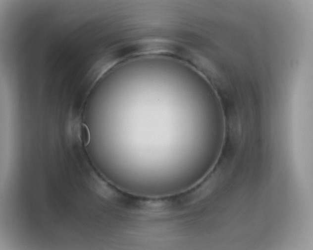 X0000113171177200909111028