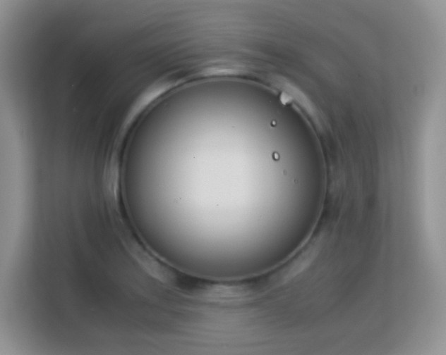 X0000113171179200909111028