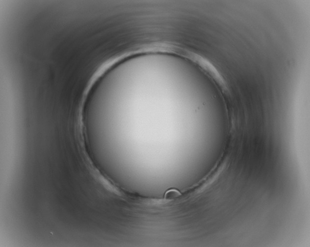 X0000113171184200909111028