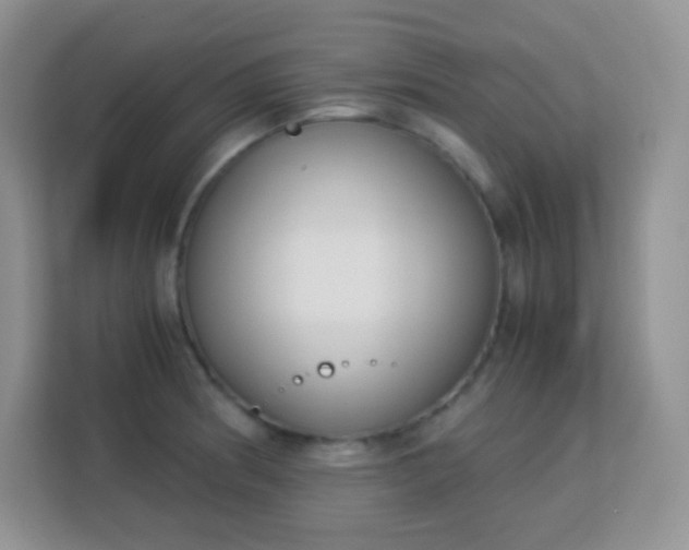 X0000113171186200909111028