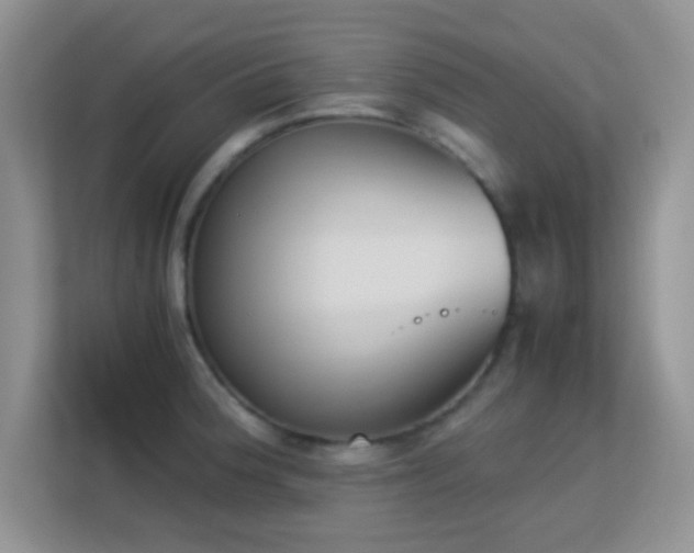 X0000113171188200909111028