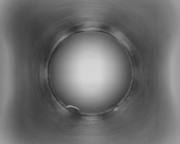 X0000113171189200909111028
