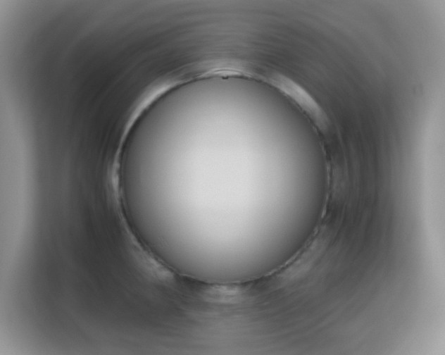 X0000113171190200909111028