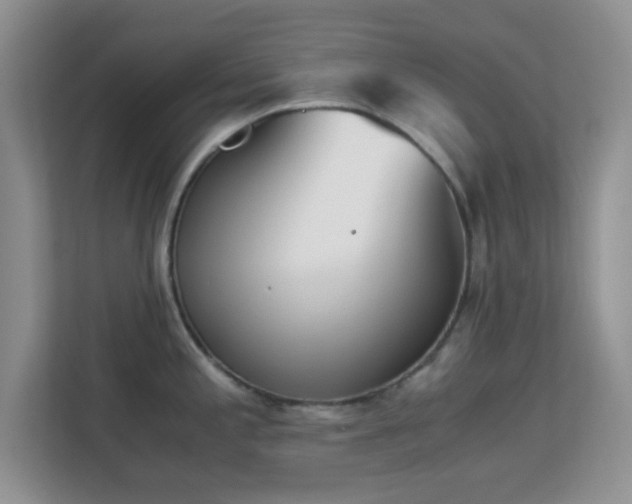 X0000113171197200909111028