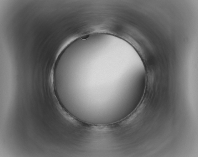 X0000113171198200909111028