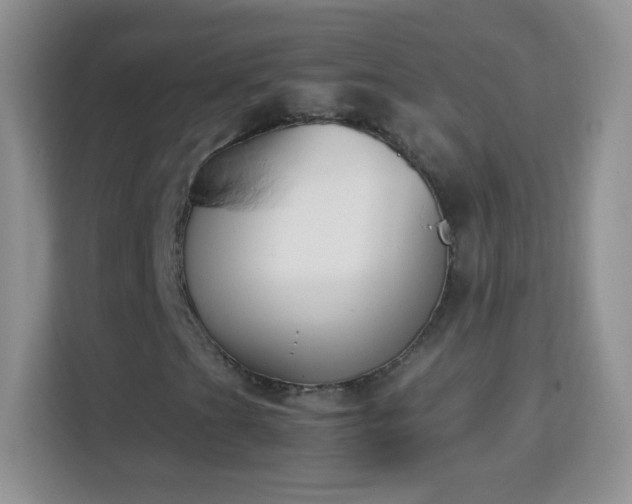 X0000113171201200909111027
