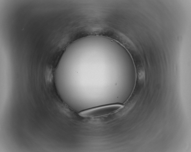 X0000113171204200909111027