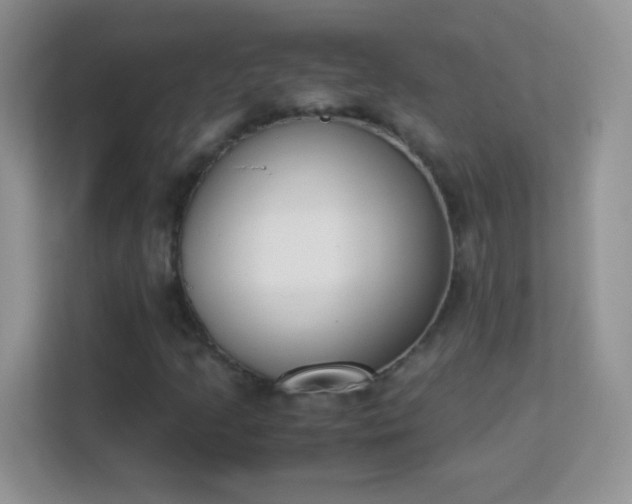 X0000113171205200909111027