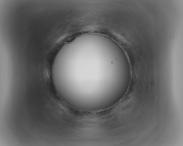 X0000113171206200909111028