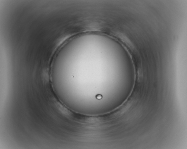 X0000113171212200909111028