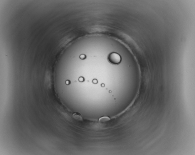 X0000113171217200909111028