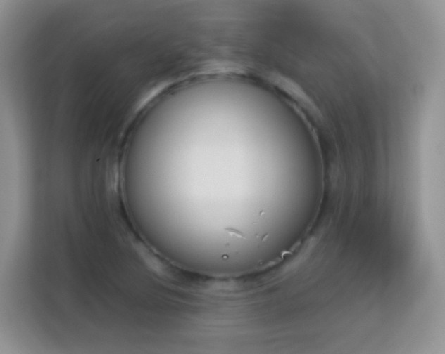 X0000113171220200909111028