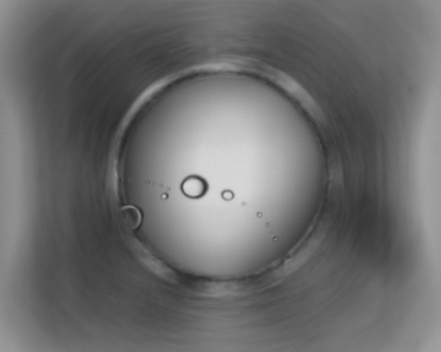 X0000113171232200909111028