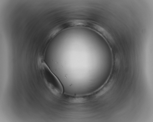 X0000113171233200909111028
