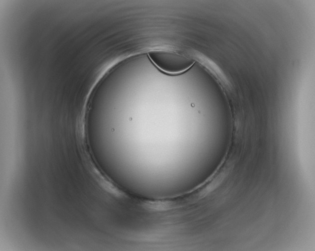 X0000113171236200909111028