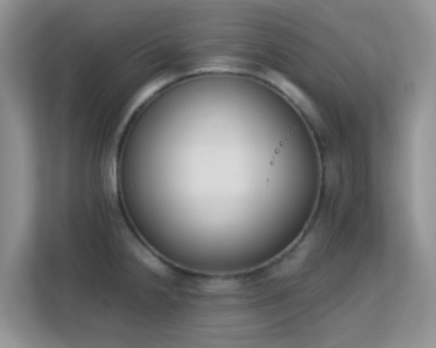 X0000113171238200909111028