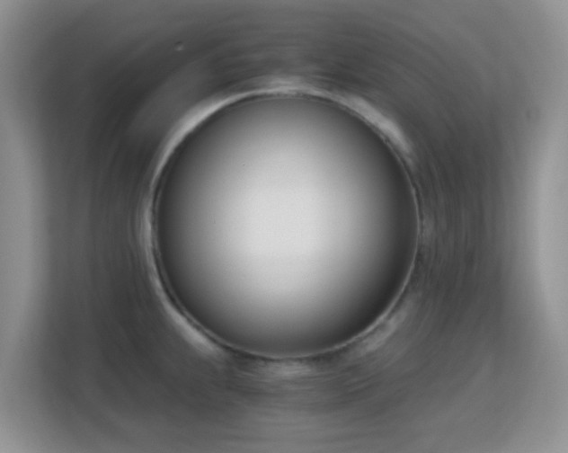 X0000113171239200909111028