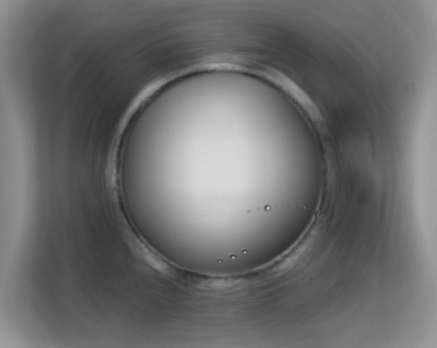X0000113171240200909111028