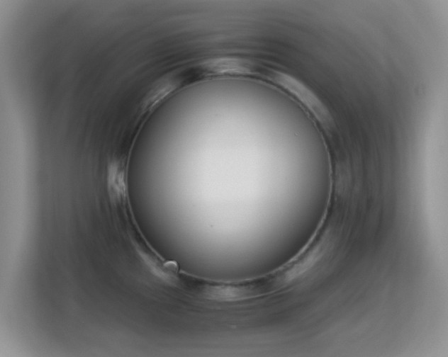 X0000113171241200909111028
